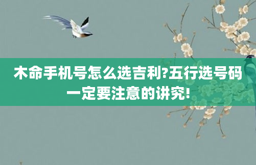 木命手机号怎么选吉利?五行选号码一定要注意的讲究!