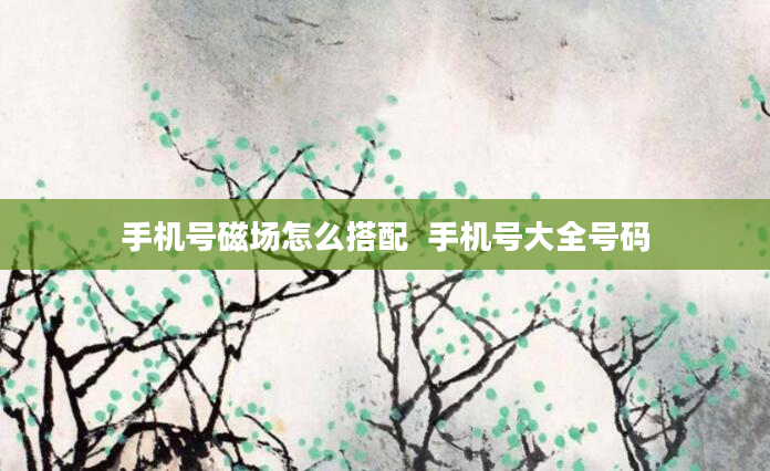手机号磁场怎么搭配 手机号大全号码