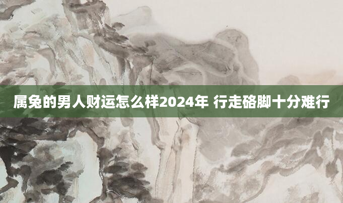 属兔的男人财运怎么样2024年 行走硌脚十分难行