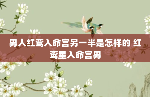 男人红鸾入命宫另一半是怎样的 红鸾星入命宫男