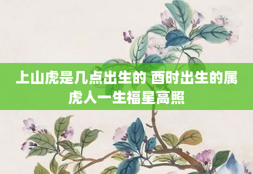 上山虎是几点出生的 酉时出生的属虎人一生福星高照