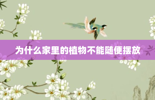 为什么家里的植物不能随便摆放