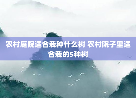 农村庭院适合栽种什么树 农村院子里适合栽的5种树
