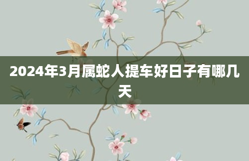 2024年3月属蛇人提车好日子有哪几天