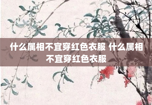 什么属相不宜穿红色衣服 什么属相不宜穿红色衣服