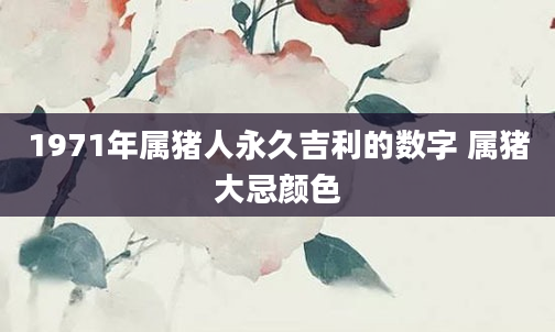 1971年属猪人永久吉利的数字 属猪大忌颜色
