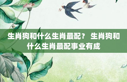 生肖狗和什么生肖最配? 生肖狗和什么生肖最配事业有成