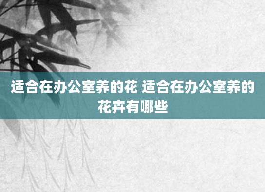 适合在办公室养的花 适合在办公室养的花卉有哪些