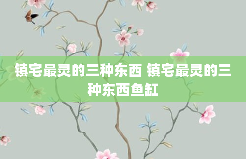 镇宅最灵的三种东西 镇宅最灵的三种东西鱼缸