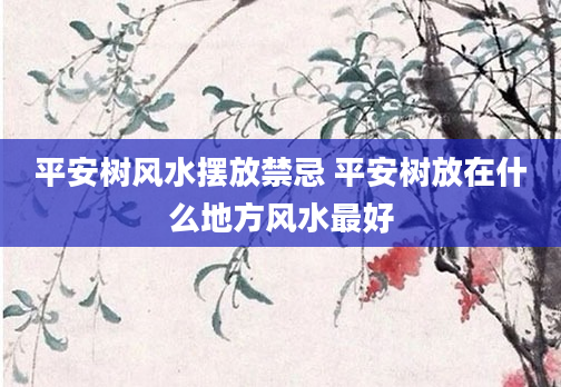平安树风水摆放禁忌 平安树放在什么地方风水最好