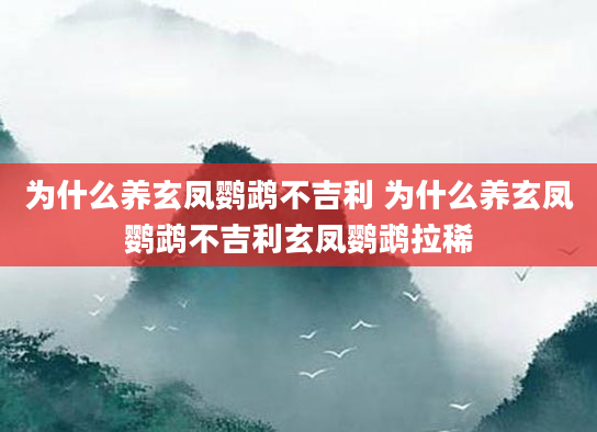 为什么养玄凤鹦鹉不吉利 为什么养玄凤鹦鹉不吉利玄凤鹦鹉拉稀