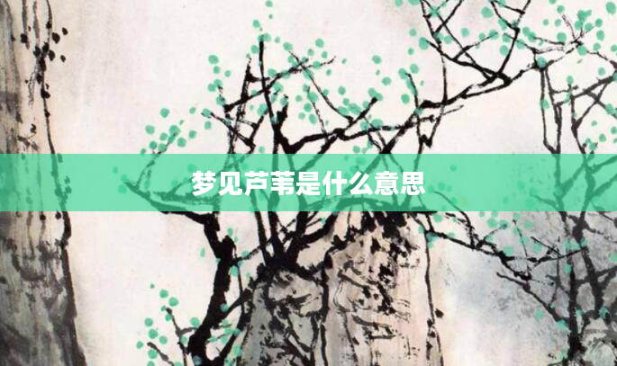 梦见芦苇是什么意思