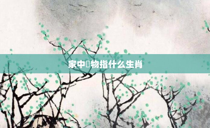 家中龐物指什么生肖