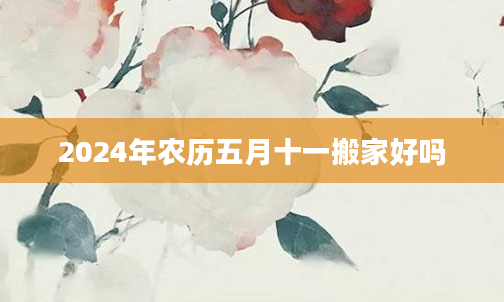 2024年农历五月十一搬家好吗
