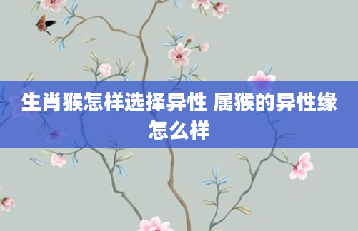 生肖猴怎样选择异性 属猴的异性缘怎么样