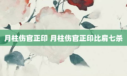 月柱伤官正印 月柱伤官正印比肩七杀