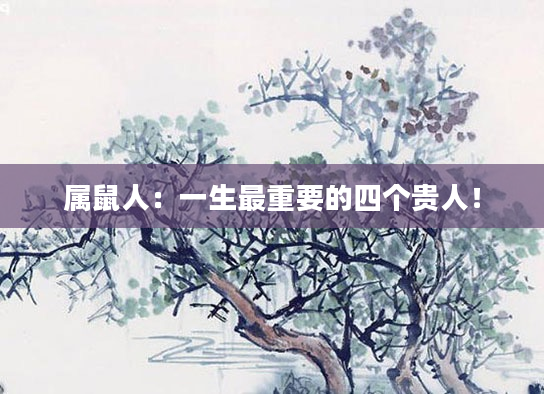属鼠人:一生最重要的四个贵人!