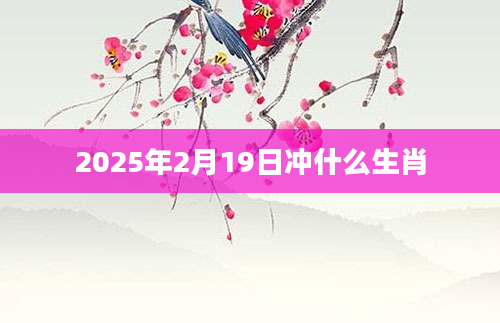 2025年2月19日冲什么生肖