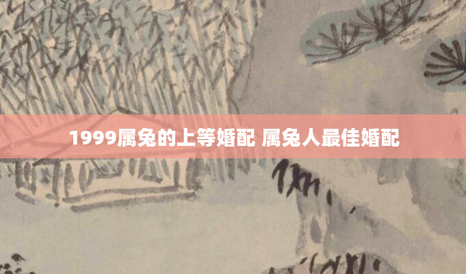 1999属兔的上等婚配 属兔人最佳婚配