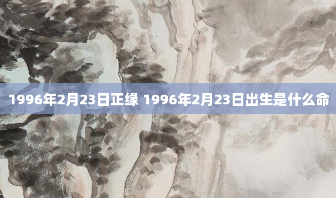 1996年2月23日正缘 1996年2月23日出生是什么命