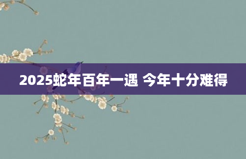 2025蛇年百年一遇 今年十分难得