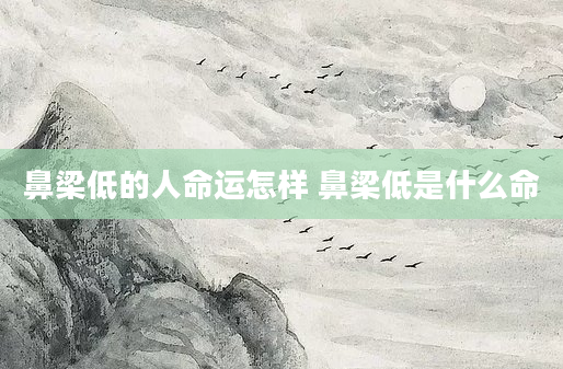 鼻梁低的人命运怎样 鼻梁低是什么命