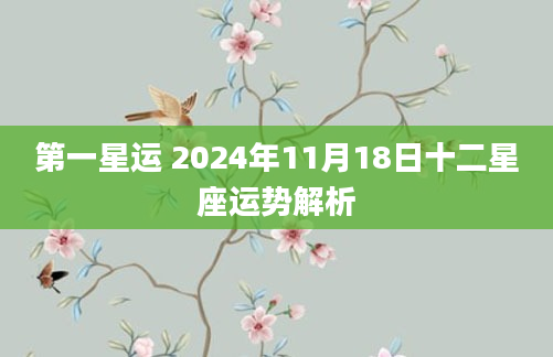 第一星运 2024年11月18日十二星座运势解析