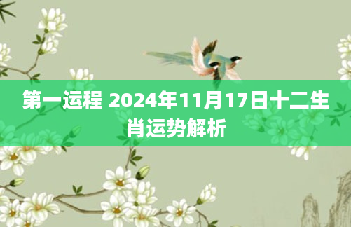 第一运程 2024年11月17日十二生肖运势解析