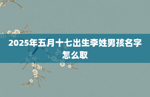 2025年五月十七出生李姓男孩名字怎么取