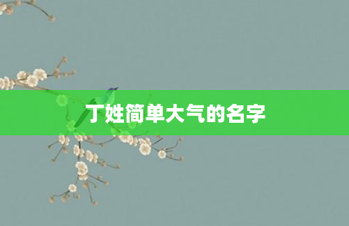 丁姓简单大气的名字