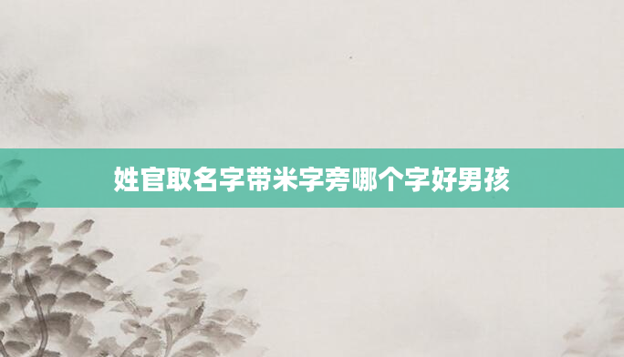 姓官取名字带米字旁哪个字好男孩