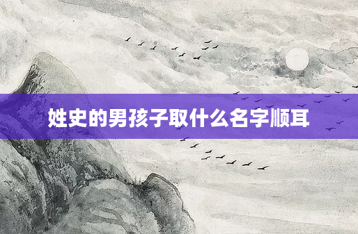 姓史的男孩子取什么名字顺耳