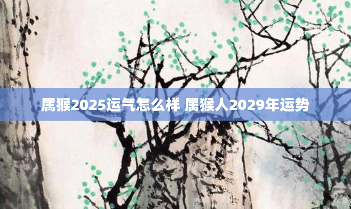 属猴2025运气怎么样 属猴人2029年运势
