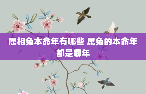 属相兔本命年有哪些 属兔的本命年都是哪年