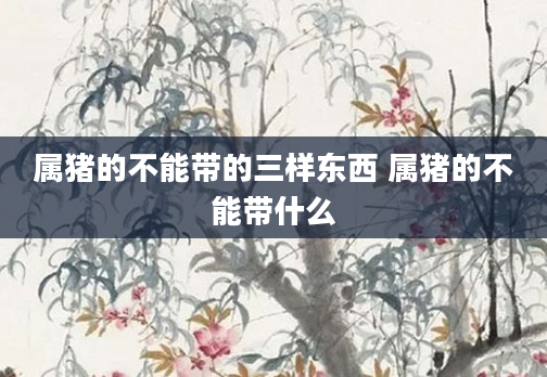 属猪的不能带的三样东西 属猪的不能带什么