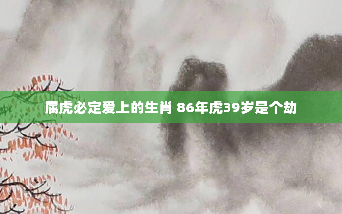 属虎必定爱上的生肖 86年虎39岁是个劫