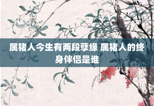 属猪人今生有两段孽缘 属猪人的终身伴侣是谁