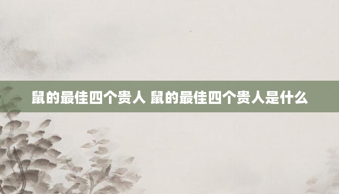鼠的最佳四个贵人 鼠的最佳四个贵人是什么