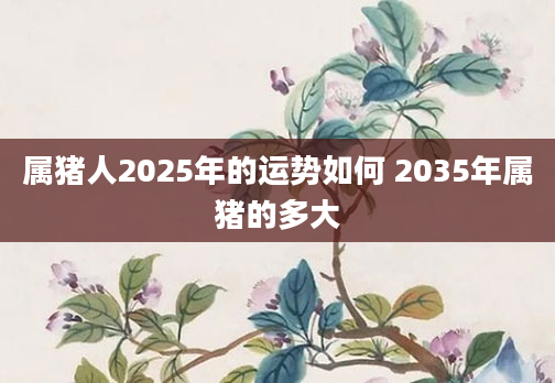 属猪人2025年的运势如何 2035年属猪的多大