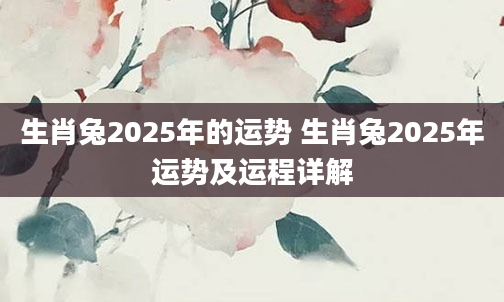 生肖兔2025年的运势 生肖兔2025年运势及运程详解