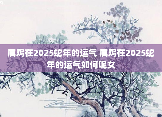 属鸡在2025蛇年的运气 属鸡在2025蛇年的运气如何呢女