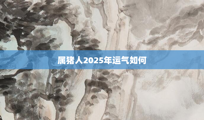 属猪人2025年运气如何
