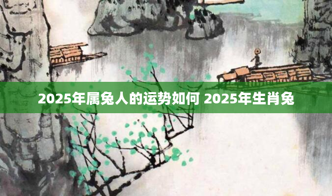 2025年属兔人的运势如何 2025年生肖兔