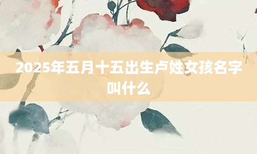 2025年五月十五出生卢姓女孩名字叫什么