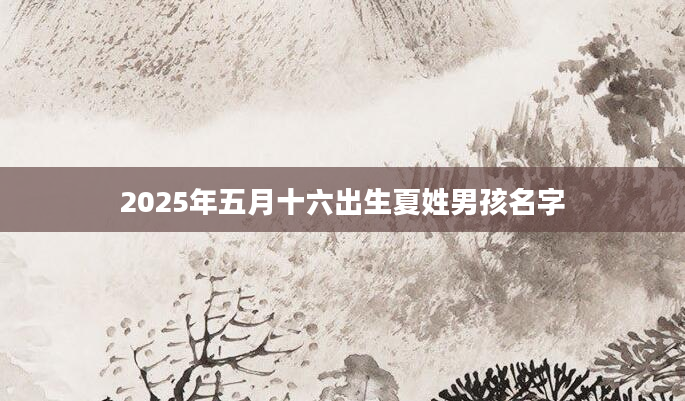 2025年五月十六出生夏姓男孩名字