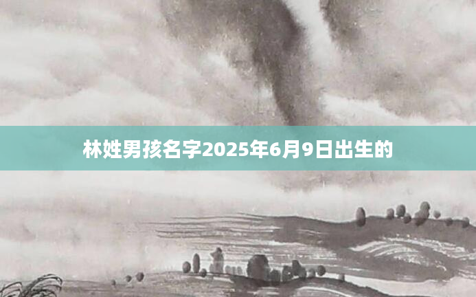 林姓男孩名字2025年6月9日出生的