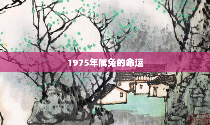 1975年属兔的命运