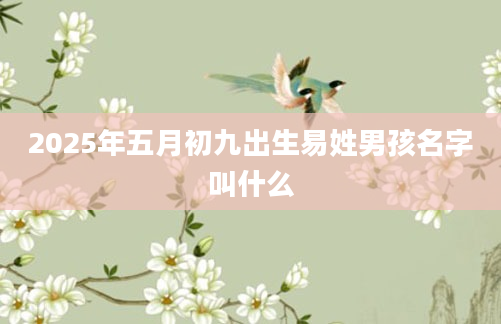 2025年五月初九出生易姓男孩名字叫什么