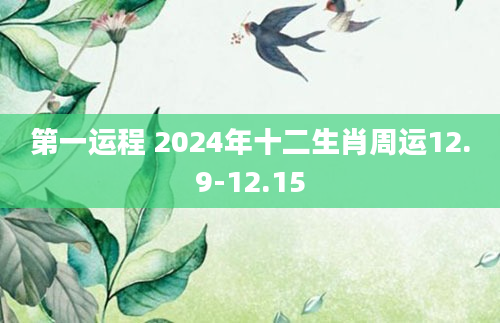 第一运程 2024年十二生肖周运12.9-12.15