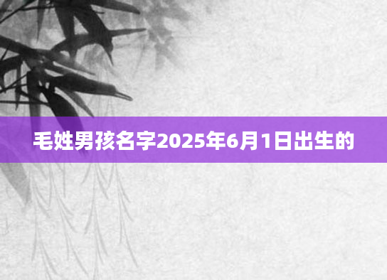 毛姓男孩名字2025年6月1日出生的